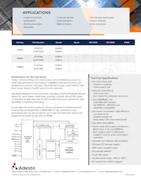 ATXP032-CCUE-T Datenblatt Seite 2