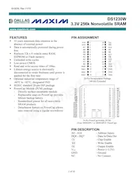 DS1230W-100IND Datenblatt Cover