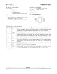 RT7300AGS Datasheet Page 2