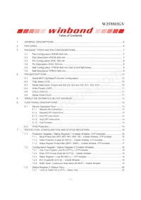 W25M02GVTCIT TR Datasheet Pagina 2