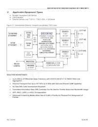DS33X41 Datasheet Page 14