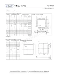 PS021FN Datasheet Page 19