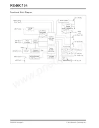 RE46C194S16T Datasheet Page 2