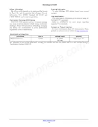 BR281W31A101V1G Datasheet Page 10