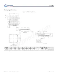 CY5137-1X07I Datenblatt Seite 21