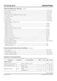 RT8202GQW Datasheet Page 4