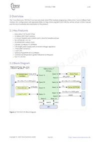 TE0725LP-01-100-2L Datasheet Page 4
