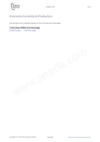 TE0841-02-32I21-A Datasheet Page 20