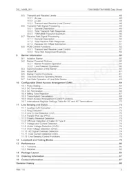73M1916-IVTR/F Datasheet Pagina 3