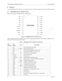 73M1916-IVTR/F Datasheet Page 8