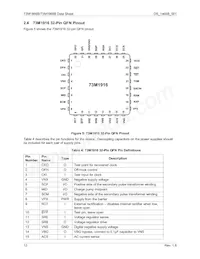 73M1916-IVTR/F Datasheet Page 12
