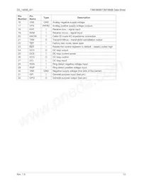73M1916-IVTR/F Datasheet Pagina 13
