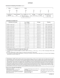 CAT6221-MGTD-GT3 Datasheet Pagina 10