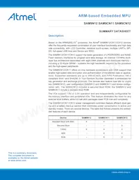 AT91SAM9N12-CUR Datenblatt Cover