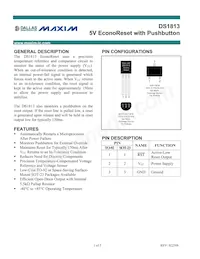 DS1813-15/T&R Datenblatt Cover