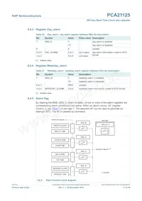PCA21125T/Q900/1數據表 頁面 13