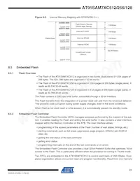 AT91SAM7XC512-CU Datasheet Pagina 21