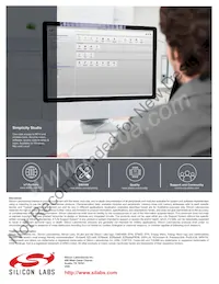 C8051F300-GDI Datasheet Pagina 9