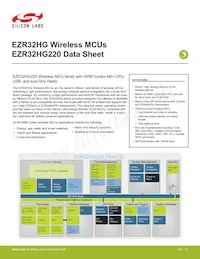 EZR32HG220F32R69G-C0 Datasheet Cover