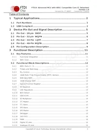 FT51CS-R Datasheet Page 3