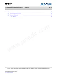 M21315G-12 Datenblatt Seite 4
