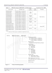 M30876FJBGP Datasheet Page 9