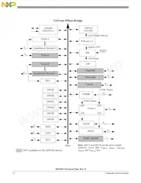 MC56F8165VFGE Datasheet Page 12
