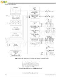 MC9S08GB60ACFUER Datasheet Pagina 22