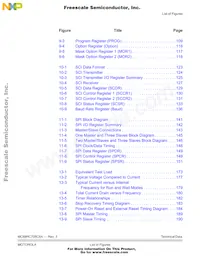 MCHSC705C8ACPE Datenblatt Seite 17