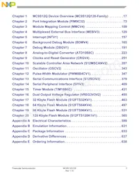 S9S12Q12J2VFAE1R Datasheet Pagina 3