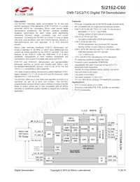 SI2162-C60-GM Datenblatt Cover