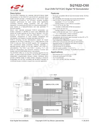 SI21622-C60-GM Datasheet Copertura