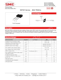 SST41Z-600BW Datasheet Cover
