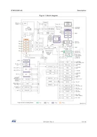 STM32G081RBT6數據表 頁面 13