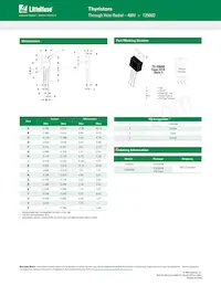 T2500DG Datasheet Page 4