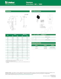 T2800DG Datasheet Page 4