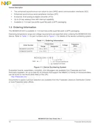 XC68C812A4PVE5 Datasheet Page 18