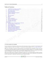 XLF216-512-TQ128-C20 Datasheet Pagina 2