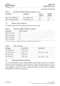 XMC1100T038F0064AAXUMA1 Datasheet Page 10