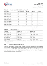 XMC1302T038X0016AAXUMA1 Datasheet Pagina 12