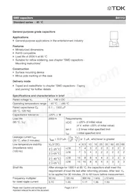 B41112A4106M000 데이터 시트 페이지 2