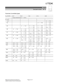 B41112A4106M000 Datasheet Pagina 5