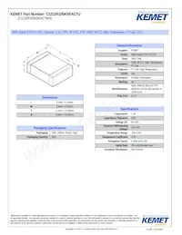 C1210R105K5RAC7800 Datasheet Copertura