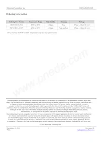 DSC613RI2A-012S Datasheet Page 2