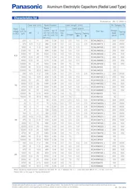 ECA-2DM010 Datasheet Page 2
