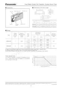 ERX-2HQJ56MH Datasheet Page 2