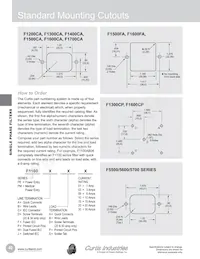 F1799DD30 Datasheet Page 3