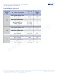 F464FN823J2K5Z Datasheet Pagina 3