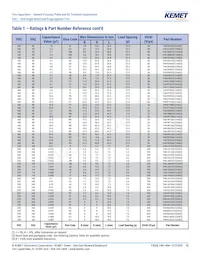 F464FN823J2K5Z Datasheet Pagina 10