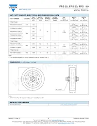 FPS060WF30136BJ1 Datasheet Page 2